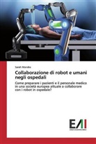 Sarah Mandra - Collaborazione di robot e umani negli ospedali