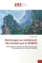 Petr Prochazka - Dommages au revêtement des tunnels par la DGBEM