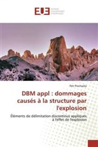 Petr Prochazka - DBM appl : dommages causés à la structure par l'explosion