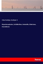 Oskar Boettger, Boettger O - Rhynchocephalen, Schildkröten, Krokodile, Eidechsen, Chamäleons