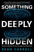 Sean Carroll - Something Deeply Hidden
