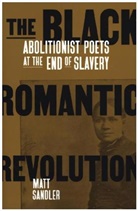 Matt Sandler, Matthew F. Sandler - Black Romantic Revolution