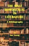Ian Young - The Male Homosexual in Literature