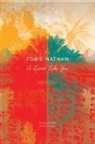 Tobie Nathan - A Land Like You