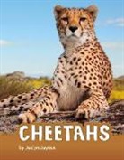 Jaclyn Jaycox - Cheetahs
