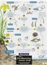 Anne Bebbington, John Bebbington, Richard Orton - The Freshwater name trail