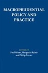 Paul (University of Nottingham) Rubio Mizen, Paul Mizen, Mizen Paul, Margarita Rubio, Philip Turner - Macroprudential Policy and Practice