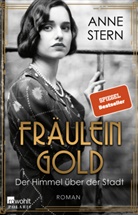 Anne Stern - Fräulein Gold: Der Himmel über der Stadt
