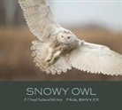 Paul Bannick - Snowy Owl
