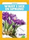Danielle J Jacks, Danielle J. Jacks - What I See in Spring