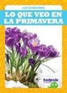 Danielle J Jacks, Danielle J. Jacks - Lo Que Veo En La Primavera (What I See in Spring)