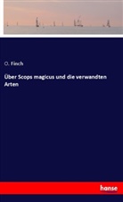 O Finch, O. Finch - Über Scops magicus und die verwandten Arten