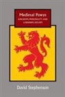 David Stephenson - Medieval Powys