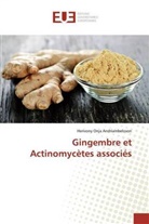 Herivony Onja Andriambeloson - Gingembre et Actinomycètes associés
