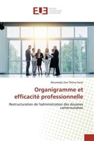 Aloumedjo Zam Thierry Farrel - Organigramme et efficacité professionnelle
