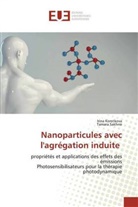 Irin Korotkova, Irina Korotkova, Tamara Sakhno - Nanoparticules avec l'agrégation induite