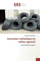 Anant Babu Marahatta - Corrosion métallique en milieu agressif