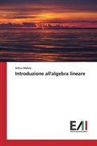 Arthur Wafula - Introduzione all'algebra lineare