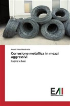 Anant Babu Marahatta - Corrosione metallica in mezzi aggressivi
