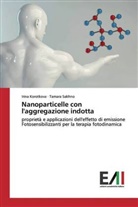 Irin Korotkova, Irina Korotkova, Tamara Sakhno - Nanoparticelle con l'aggregazione indotta