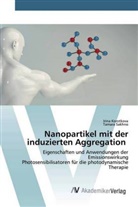 Irin Korotkova, Irina Korotkova, Tamara Sakhno - Nanopartikel mit der induzierten Aggregation