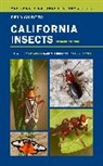 Joyce Gross, Gross Joyce, Jerry A. Powell, Powell Jerry A., Daniel Rubinoff, Kip Will... - Field Guide to California Insects