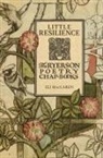 Eli MacLaren - Little Resilience