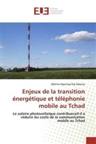 Djibrine Ngarmig-Nig Dabono - Enjeux de la transition énergétique et téléphonie mobile au Tchad