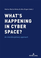 Ahu Ergen, Necla Keles - What's happening in cyber space?
