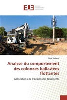 Omar Sadaoui - Analyse du comportement des colonnes ballastées flottantes