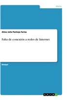 Alma Julia Pantoja Farias - Falta de conexión a redes de Internet