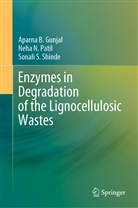 Aparna Gunjal, Aparna B Gunjal, Aparna B. Gunjal, Neha Patil, Neha N Patil, Neha N. Patil... - Enzymes in Degradation of the Lignocellulosic Wastes