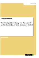 Christoph Schmidt - Nachhaltige Herstellung von Wasserstoff als Treibstoff. Ein System Dynamics Modell