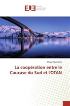 Khayal Iskandarov - La coopération entre le Caucase du Sud et l'OTAN