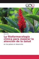 Bruno Eto - La fitofarmacología clínica para mejorar la atención de la salud
