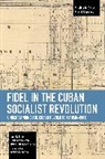 Fidel Castro, Jos Bell Lara, Jose Bell Lara, José Bell Lara - Fidel in the Cuban Socialist Revolution