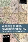 Peter Mihalyi, Péter Mihályi, Peter Mihlyi, Pter Mihlyi, Ivan Szelenyi, Ivn Szelenyi... - Varieties of Post-communist Capitalism