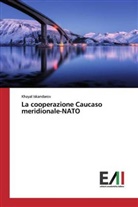 Khayal Iskandarov - La cooperazione Caucaso meridionale-NATO