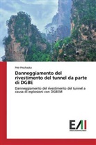Petr Prochazka - Danneggiamento del rivestimento del tunnel da parte di DGBE