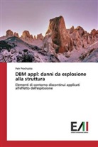 Petr Prochazka - DBM appl: danni da esplosione alla struttura