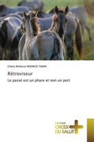 Charly Richesse Ndongo Tsana - Rétroviseur