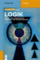 Gerhard Schurz - Logik