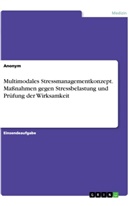 Anonym - Multimodales Stressmanagementkonzept. Maßnahmen gegen Stressbelastung und Prüfung der Wirksamkeit