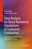 Attili, Attili, Antonio Attili, Hein Pitsch, Heinz Pitsch - Data Analysis for Direct Numerical Simulations of Turbulent Combustion
