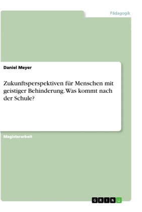 Daniel Meyer - Zukunftsperspektiven für Menschen mit geistiger Behinderung. Was kommt nach der Schule?