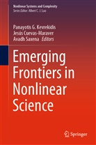 Avadh Behari Saxena, Jesú Cuevas-Maraver, Jesús Cuevas-Maraver, Panayotis G. Kevrekidis, Avadh Saxena, Avadh Behari Saxena - Emerging Frontiers in Nonlinear Science