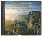 Ludwig van Beethoven - Kammermusik, 2 Audio-CD (Hörbuch)