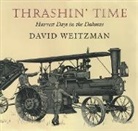 David Weitzman - Thrashin' Time
