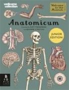 Jennifer Z Paxton, Jennifer Z. Paxton, Katy Wiedemann - Anatomicum Junior