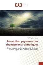 Koffi Pacôme Konan - Perception paysanne des changements climatiques